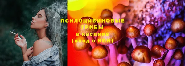 spice Балабаново