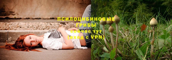 меф Сафоново