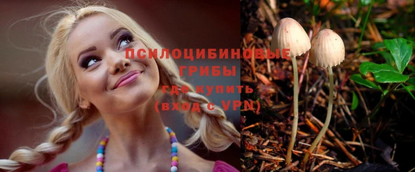 крисы Сатка