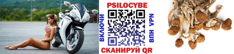 Псилоцибиновые грибы мицелий  Славск 